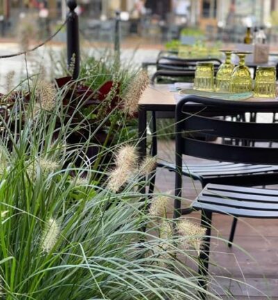 verdesalvia-vigevano_gallery1