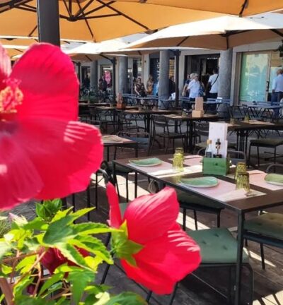 verdesalvia-vigevano_gallery10