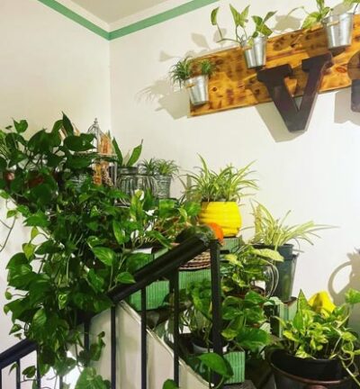 verdesalvia-vigevano_gallery12