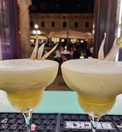 verdesalvia-vigevano_gallery8